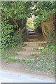 Steps down to Daisy Bank Road