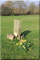 Stone near Daisy Bank Road