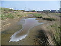 Dried out pond on Botany Marshes