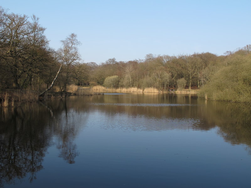 Wake Valley Pond: South © Roger Jones :: Geograph Britain and Ireland