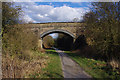 SK1653 : Bridge, Tissington Trail by Ian Taylor