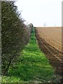 Footpath to Lackford Lane