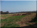 Farmyard manure waiting to be spread