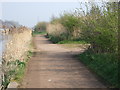 Trans Pennine Trail beside St Helens Canal