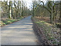 French Lane southbound to Bowlhead Green