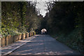 Reigate Tunnel Cutting