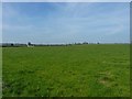 Farmland near Preston Hill farm