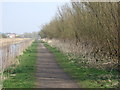 Trans Pennine Trail beside St Helens Canal