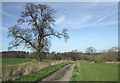 Farm track north of Six Ashes, Staffordshire