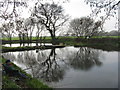 Fishing pond on Hatton Lane