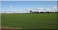 Field and houses near Piccadilly