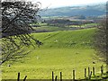 Pasture on Cefn y Coed