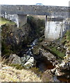 G8188 : Bridge at Tullynaglaggan by louise price