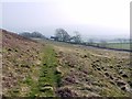 Track south of Barcombe South Quarry