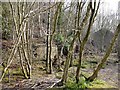 Ruined buildings, Barcombe Colliery, Birkshaw