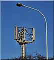 Telecoms mast near Bangor