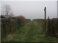 Bridleway at Delph Hill