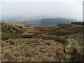 On the slopes of Garw Fynydd