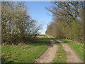 Track to Bratt Field South Road