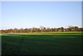 Shadows cast across a field