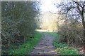 Footpath from Southfield Manor to Daisy Bank Road