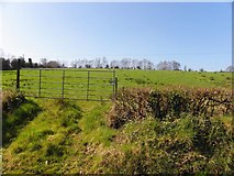 H2613 : Mullaghmore Townland by Kenneth  Allen
