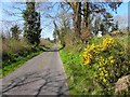 H2712 : Road at Clontygigny, Ardlougher by Kenneth  Allen
