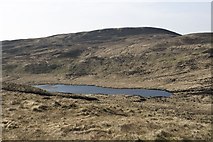 NR3570 : Lochan Broach, Islay by Becky Williamson