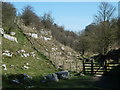 SK1666 : Lathkill Dale view by Andrew Hill