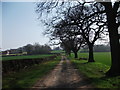 Track to Pentre-clawdd