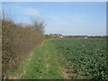 View towards Heapham Cliff