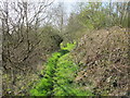 Footpath east of Lanty