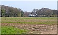 Across the field to White Cottage, Beckley