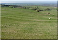 Derbyshire landscape with stork