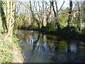 River Crane in Crane Park