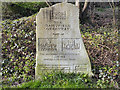 Daisyfield Greenway Marker