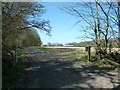 Track on the edge of Hurst Wood