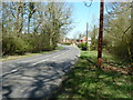 Houses on Horsham Road