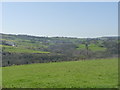 Storrs Brook valley from Loxley