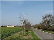 TL4147 : Nearing Foxton on Fowlmere Road by John Sutton