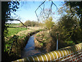 Foudry Brook by Wood Lane bridge