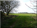 Footpath opposite Millfield Farm