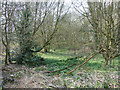 TL0617 : Woodland off Caddington Common by Rob Farrow