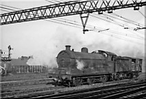 TQ3884 : A massive 0-6-0 at Stratford with just a cattle wagon by Ben Brooksbank
