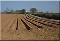 Ploughed field near Crammer Barton