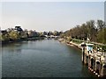TQ1675 : River Thames at Richmond by Paul Gillett