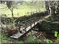 Footbridge over a Stream