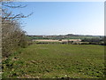 Pasture land and inter-drumlin wetland north of Millvale Road