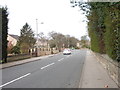 Cliffe Lane - viewed from Woodlands Crescent