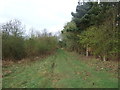 Bridleway towards the B6532